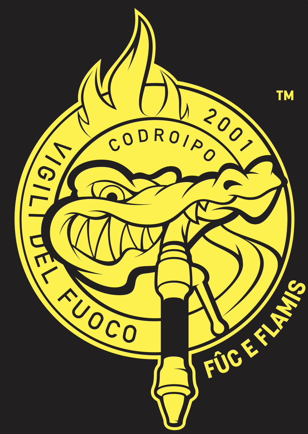 Vigili del Fuoco Codroipo